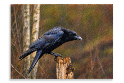 The Raven - Estonia - Artistic